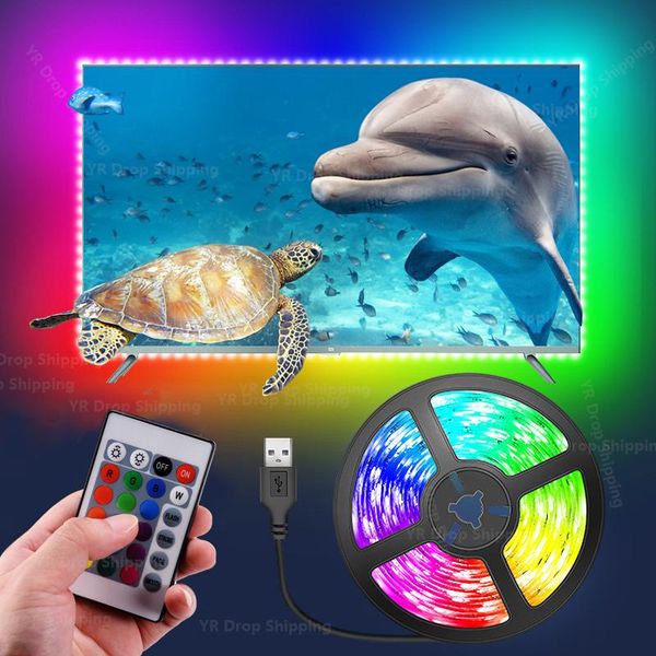 neon light strip rgb colorful 24key lamp smd flexible tape ribbon tv background lighting screen backlight led strips
neon light strip rgb colorful 24key lamp smd flexible tape ribbon tv background lighting screen backlight led strips