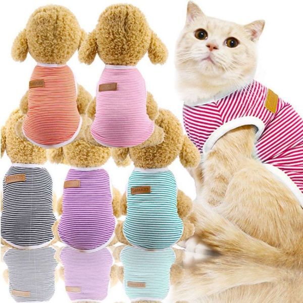 the dog clothes vest cotton comfortable summer striped shirt dog cat teddy bear pet clothing
the dog clothes vest cotton comfortable summer striped shirt dog cat teddy bear pet clothing