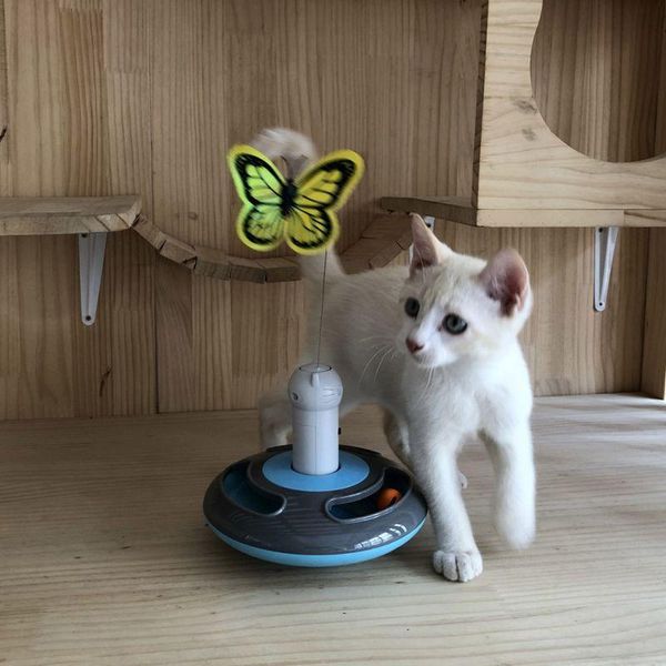 cat toys smart automatic funny exercise interactive butterfly stick toy electronic pets electric rotating kitten
cat toys smart automatic funny exercise interactive butterfly stick toy electronic pets electric rotating kitten