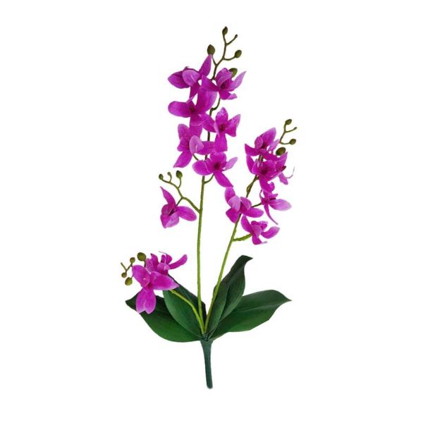 decorative flowers & wreaths simulation ornaments floral art artificial orchids 3 forks home decoration 55cm east asia wedding scene
decorative flowers & wreaths simulation ornaments floral art artificial orchids 3 forks home decoration 55cm east asia wedding scene