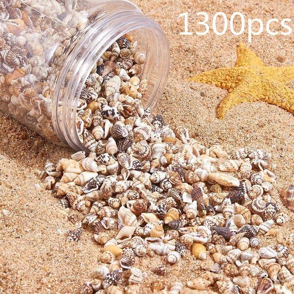 novelty items 1300-1500pcs/box natural shell conch ornaments accessories parts diy material jewelry components fish tank home decoration
novelty items 1300-1500pcs/box natural shell conch ornaments accessories parts diy material jewelry components fish tank home decoration