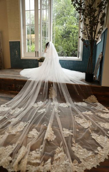 bridal veils romantic 3.5 meters wedding long white tull champang lace silver edge cathedral veil vintage accessories, Black
bridal veils romantic 3.5 meters wedding long white tull champang lace silver edge cathedral veil vintage accessories, Black
