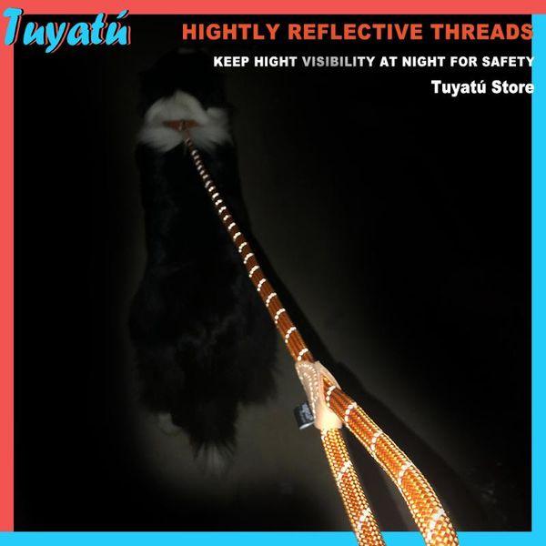 dog collars & leashes reflective big leash long for large dogs lead nylon adjustable collar harness pet products labrador
dog collars & leashes reflective big leash long for large dogs lead nylon adjustable collar harness pet products labrador