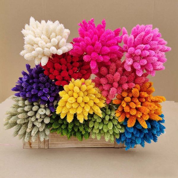 20pcs natural eternal plant gemstone grass home living room display decoration diy flower arrangement shooting props
20pcs natural eternal plant gemstone grass home living room display decoration diy flower arrangement shooting props