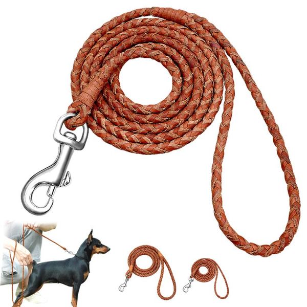 dog collars & leashes leash rolled round leather braided lead for small medium dogs walking running training
dog collars & leashes leash rolled round leather braided lead for small medium dogs walking running training