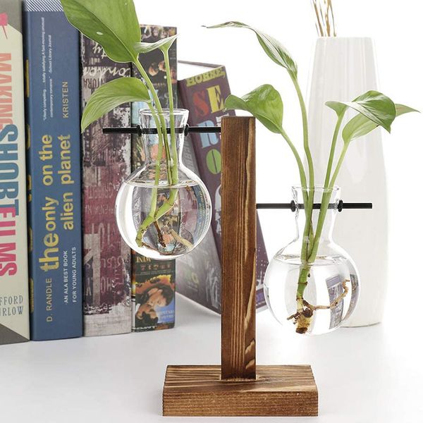 hydroponic plant vases glass planter bulb terrarium with retro wooden frame stand for home garden office wedding decoration hydroponics tabl
hydroponic plant vases glass planter bulb terrarium with retro wooden frame stand for home garden office wedding decoration hydroponics tabl