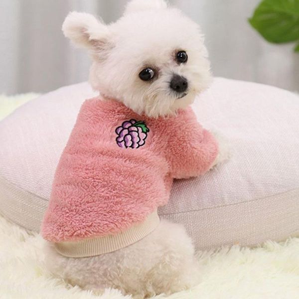 dog apparel year autumn and winter multi-size small sweater cute two-legged pet clothes
dog apparel year autumn and winter multi-size small sweater cute two-legged pet clothes