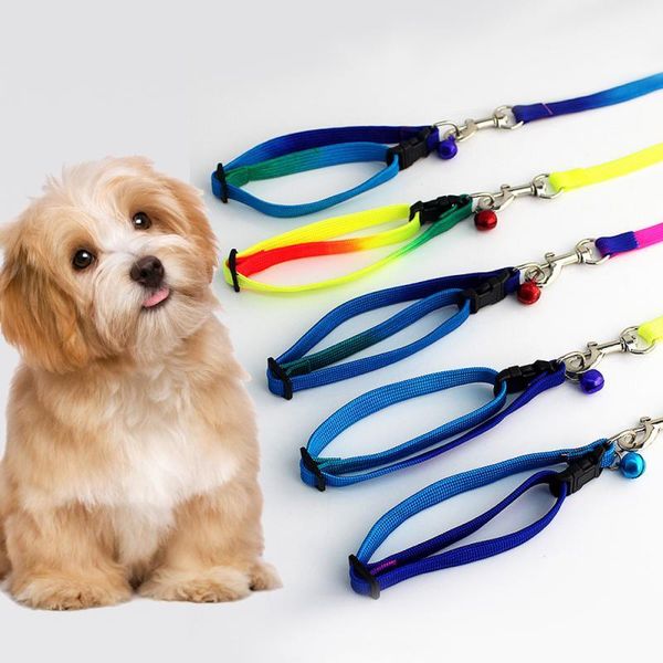 1pcs colorful pet adjustable neck traction belt collar leash dog rope puppy leashes random color collars &
1pcs colorful pet adjustable neck traction belt collar leash dog rope puppy leashes random color collars &