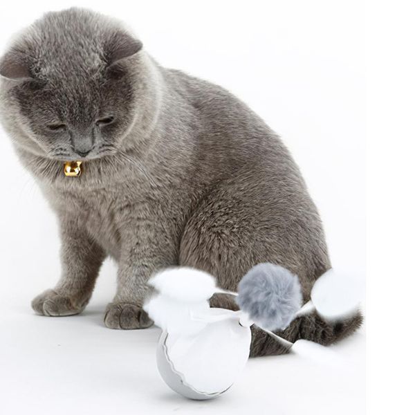 cat toys electric ball interactive motion pet tumbler feather toy rotating rolling automatic chase kitten products
cat toys electric ball interactive motion pet tumbler feather toy rotating rolling automatic chase kitten products