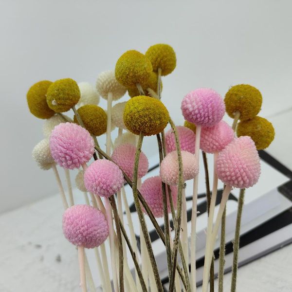 decorative flowers & wreaths boho decor aesthetic bouquet diy craft natural craspedia dried home party decoration accessories living room de
decorative flowers & wreaths boho decor aesthetic bouquet diy craft natural craspedia dried home party decoration accessories living room de