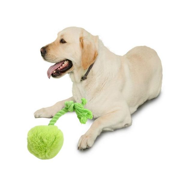 cat toys dog toy interactive teeth cleaning chew bite sound plush ball with cotton rope durable pet supplies
cat toys dog toy interactive teeth cleaning chew bite sound plush ball with cotton rope durable pet supplies