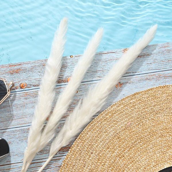decorative flowers & wreaths 30pcs bulrush natural dried pampas grass phragmites artificial plants wedding decoration flower bunch for decor
decorative flowers & wreaths 30pcs bulrush natural dried pampas grass phragmites artificial plants wedding decoration flower bunch for decor