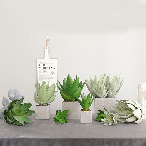 decorative flowers & wreaths artificial succulent simulation plants fake aloe cactus landscape flower diy faux cute kawaii creative accessor
decorative flowers & wreaths artificial succulent simulation plants fake aloe cactus landscape flower diy faux cute kawaii creative accessor