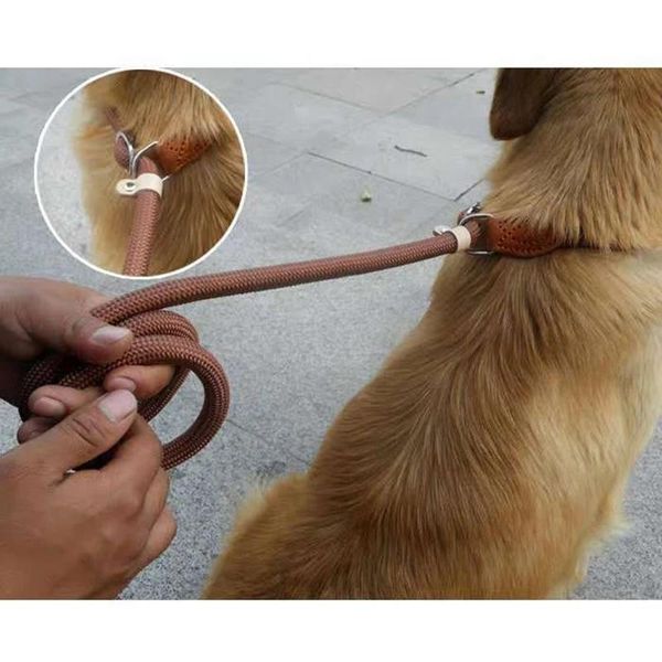 dog collars & leashes slip lead leash nylon adjustable harness for small medium dogs puppy traction rope belt supplies
dog collars & leashes slip lead leash nylon adjustable harness for small medium dogs puppy traction rope belt supplies