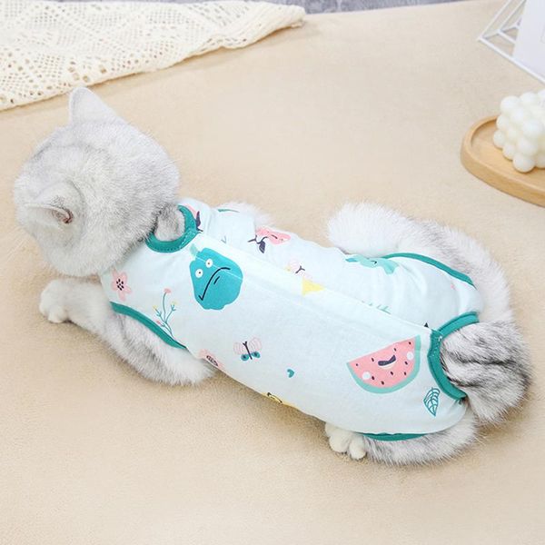 dog apparel physiological pants cat sterilization gown clothes shorts panties washable diaper female panpers de perros
dog apparel physiological pants cat sterilization gown clothes shorts panties washable diaper female panpers de perros