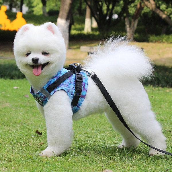 dog collars & leashes leash harness for small medium nylon mesh accessories puppy cat vest reflective walking lead bichon
dog collars & leashes leash harness for small medium nylon mesh accessories puppy cat vest reflective walking lead bichon