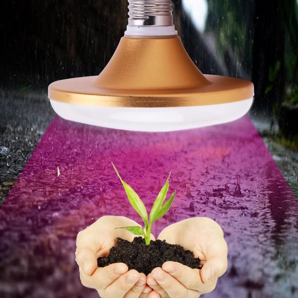 grow lights phytolamp for plants led light e27 phyto lamp indoor lighting growing bulb full spectrum aquarium flower seeds tent
grow lights phytolamp for plants led light e27 phyto lamp indoor lighting growing bulb full spectrum aquarium flower seeds tent