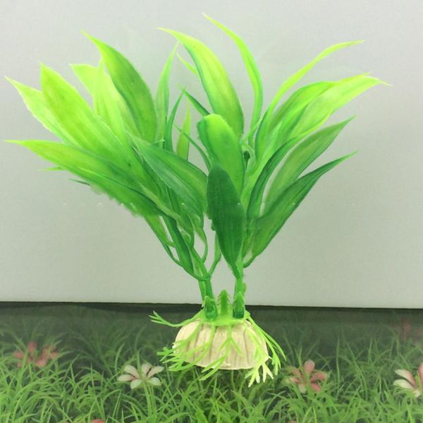 decorations 12cm artificial underwater plants aquarium fish tank decoration green purple water grass viewing
decorations 12cm artificial underwater plants aquarium fish tank decoration green purple water grass viewing