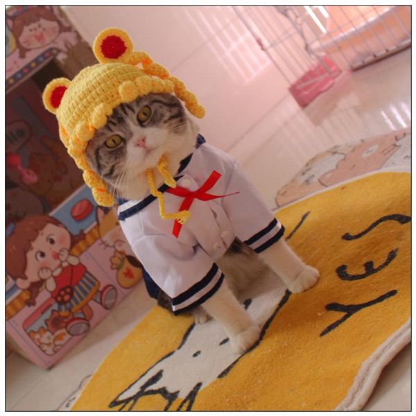 high school uniform cat clothes dress costume pet costumes 
high school uniform cat clothes dress costume pet costumes
