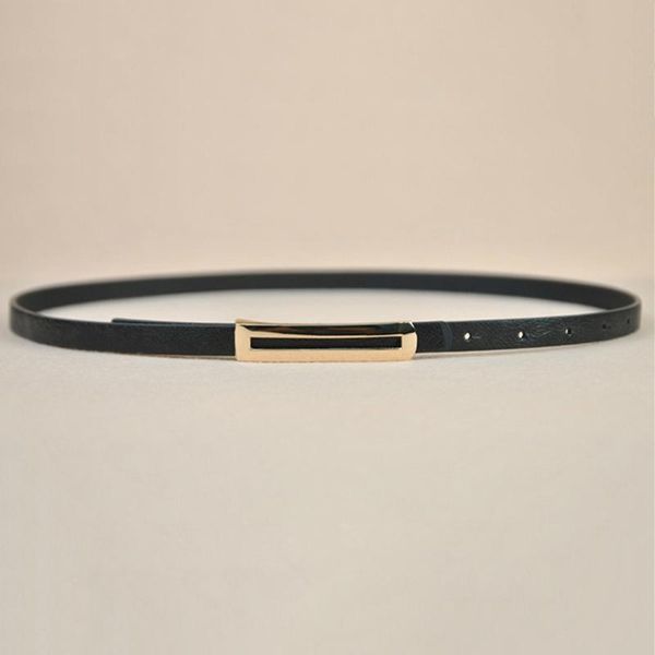 belts luxury metal buckle thin belt classic wild female minimalist straps waistband for apparel accessories, Black;brown
belts luxury metal buckle thin belt classic wild female minimalist straps waistband for apparel accessories, Black;brown