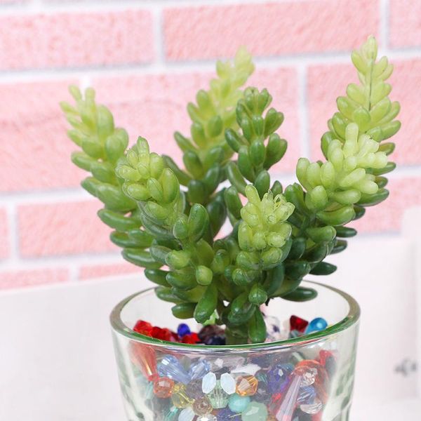 decorative flowers & wreaths green small potted artificial fleshy plant flower diy plastic decoration wedding pvc
decorative flowers & wreaths green small potted artificial fleshy plant flower diy plastic decoration wedding pvc