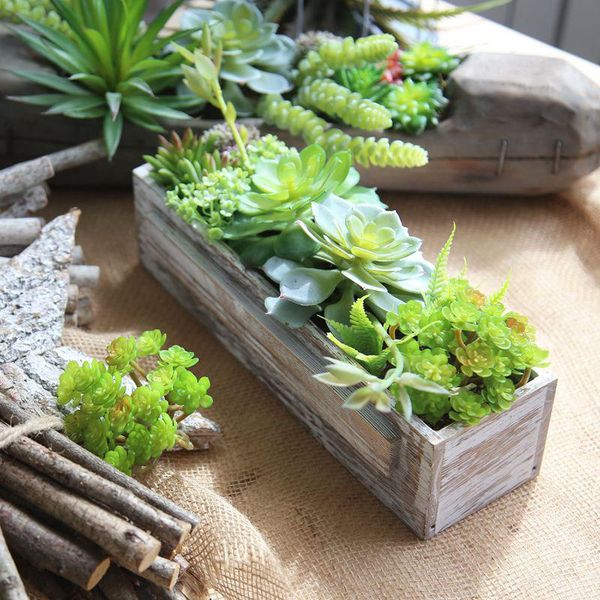 decorative flowers & wreaths 10cmgreen flocking artificial succulents plants bonsai deskfake valentine'sday wedding decoration plante a
decorative flowers & wreaths 10cmgreen flocking artificial succulents plants bonsai deskfake valentine'sday wedding decoration plante a