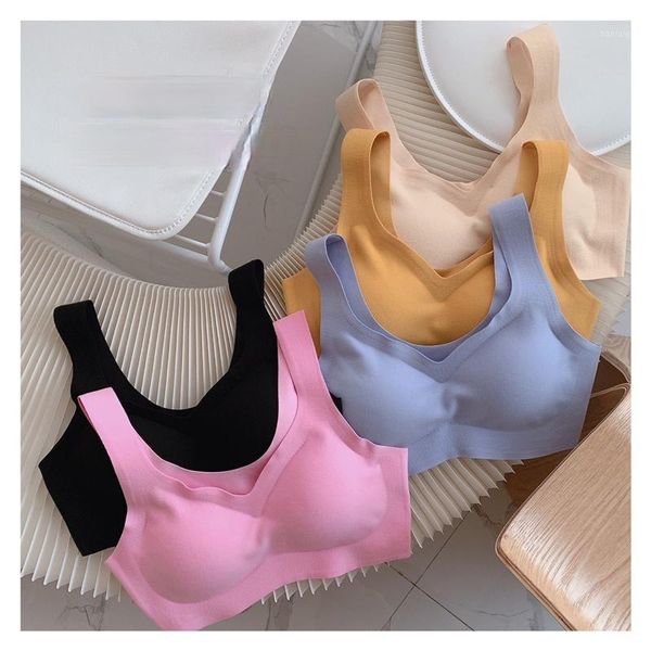 arrival sports bras for women spring breathable yoga bralette stretchy anti-sweat workout high elastic solid color bra outfit
arrival sports bras for women spring breathable yoga bralette stretchy anti-sweat workout high elastic solid color bra outfit