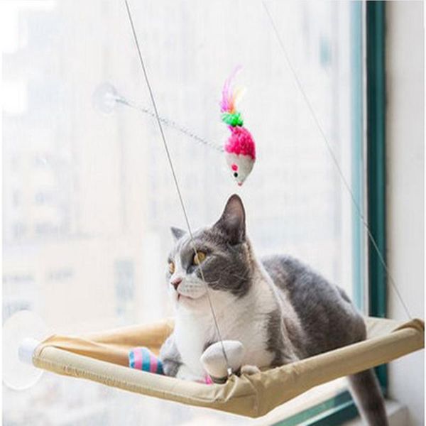 cat beds & furniture qqqpet sunny seat window mount pet hammock comfortable bed shelf cute hanging