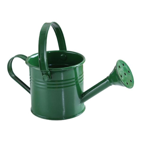 watering equipments irrigation pot flower pots sprinkling can iron blue 7.5x7.3cm garden bottle portable with handle water sprayer
watering equipments irrigation pot flower pots sprinkling can iron blue 7.5x7.3cm garden bottle portable with handle water sprayer