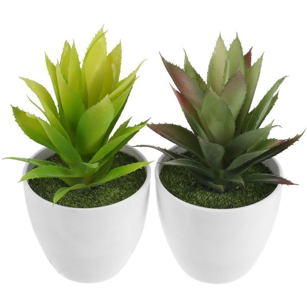 decorative flowers & wreaths 2pcs imitation succulent potted plant decoration lifelike bonsai
decorative flowers & wreaths 2pcs imitation succulent potted plant decoration lifelike bonsai