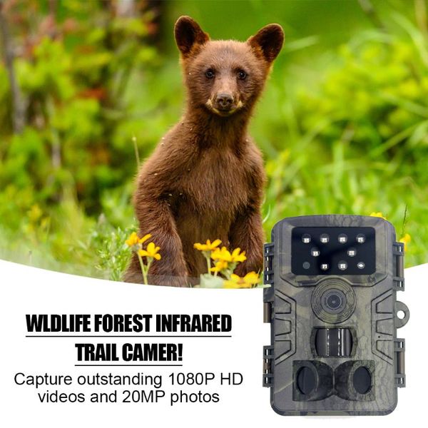 hunting cameras pr700 20mp 1080p trail camera ip66 waterproof night version po 0.2-0.6s trigger time wildlife cam home safety
hunting cameras pr700 20mp 1080p trail camera ip66 waterproof night version po 0.2-0.6s trigger time wildlife cam home safety