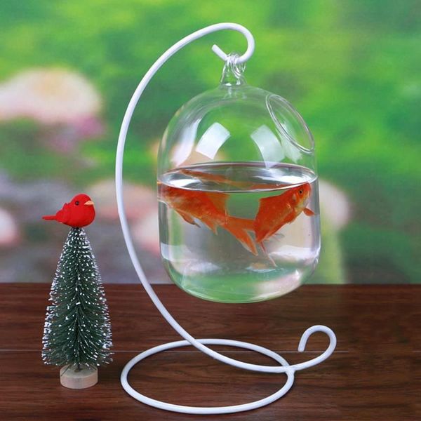 vases glass transparent creative hanging vase fish tank hydroponic plant terrarium bent stand mini flower bottle
vases glass transparent creative hanging vase fish tank hydroponic plant terrarium bent stand mini flower bottle