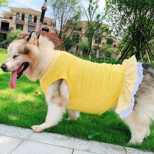 dog apparel summer large clothes big dress husky samoyed alaskan malamute labrador golden retriever skirt puppy small costume
dog apparel summer large clothes big dress husky samoyed alaskan malamute labrador golden retriever skirt puppy small costume