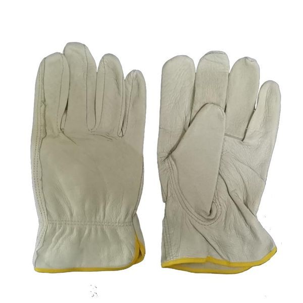 disposable gloves full finger pig skin leather mens work safety working mechanical repairing womens gardening
disposable gloves full finger pig skin leather mens work safety working mechanical repairing womens gardening