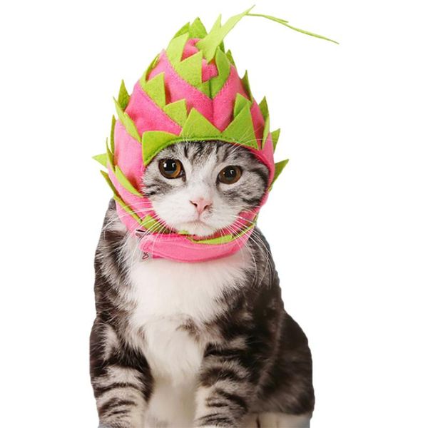 dog apparel pet clothes cosplay costume decorative accessory hat cat cap for halloween small medium arrival
dog apparel pet clothes cosplay costume decorative accessory hat cat cap for halloween small medium arrival