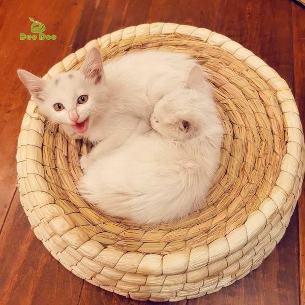 cat beds & furniture handmade bed for summer biodegradable pet straw braided puppy kennel nest kitten scratching sleeping mat pets house
cat beds & furniture handmade bed for summer biodegradable pet straw braided puppy kennel nest kitten scratching sleeping mat pets house