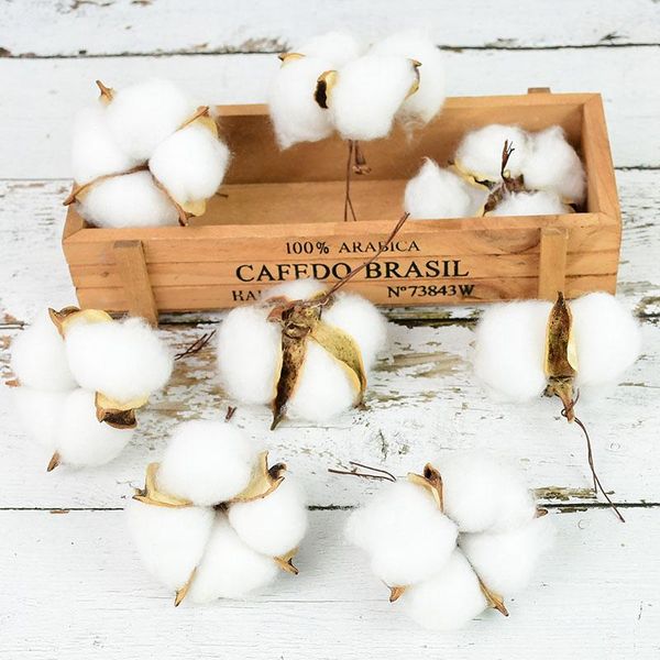 5.5cm naturally dried cotton flower head home decorative white artificial wedding wreath diy scrapbooking accessories flowers & wreaths
5.5cm naturally dried cotton flower head home decorative white artificial wedding wreath diy scrapbooking accessories flowers & wreaths