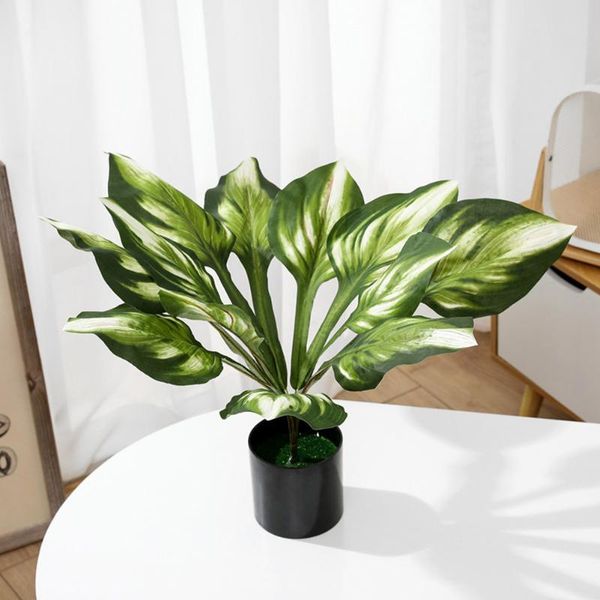 artificial green plant leaves simulation succulents bouquet jade heart leaf plants fake bonsai branch for home decor decorative flowers & wr
artificial green plant leaves simulation succulents bouquet jade heart leaf plants fake bonsai branch for home decor decorative flowers & wr