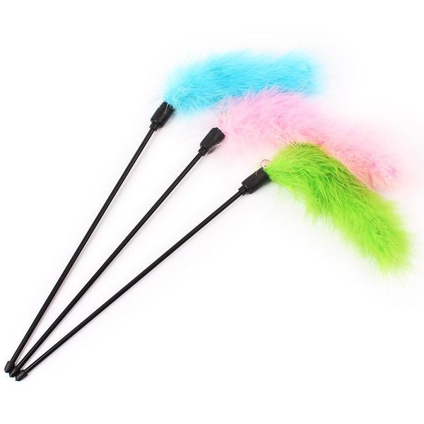 cat toys turkey feather wand stick for catcher teaser toy pet kitten jumping train aid fun
cat toys turkey feather wand stick for catcher teaser toy pet kitten jumping train aid fun