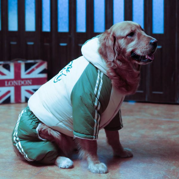 dog autumn and big winter clothes golden labrador st. bernard berners coyote rottweiler four legged cotton padded coat
dog autumn and big winter clothes golden labrador st. bernard berners coyote rottweiler four legged cotton padded coat