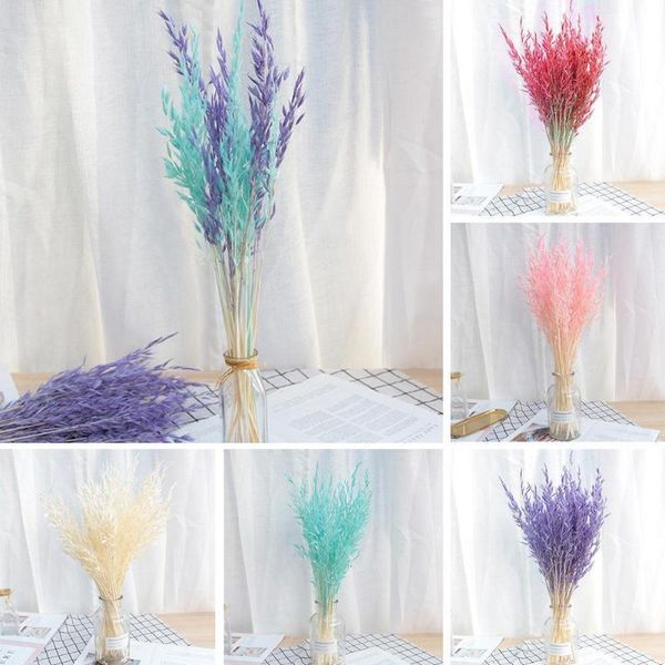 decorative flowers & wreaths 50pcs natural plant colorful pampas oat dried flower hay bouquet wedding ceremony decoration modern home decor
decorative flowers & wreaths 50pcs natural plant colorful pampas oat dried flower hay bouquet wedding ceremony decoration modern home decor