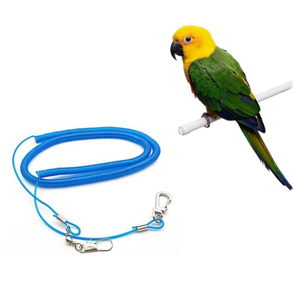 other bird supplies 15m/20m 3 color parrot cockatiels starling pet leash kits anti-bite outdoor flying training rope
other bird supplies 15m/20m 3 color parrot cockatiels starling pet leash kits anti-bite outdoor flying training rope
