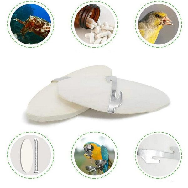 other bird supplies 1 pcs 12/15cm cuttlebone cuttlefish sepia bone cuttle fish food calcium pick stone pet parrots hamster toy accessories
other bird supplies 1 pcs 12/15cm cuttlebone cuttlefish sepia bone cuttle fish food calcium pick stone pet parrots hamster toy accessories