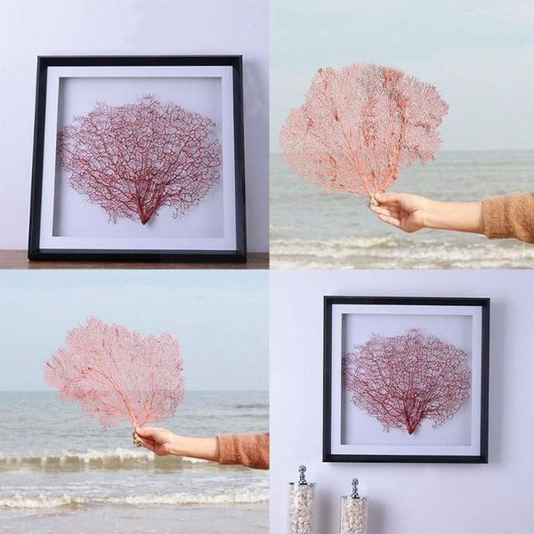 novelty items natural conch shells red sea iron tree submarine decoration coral frame landscaping wicker po p7j6
novelty items natural conch shells red sea iron tree submarine decoration coral frame landscaping wicker po p7j6