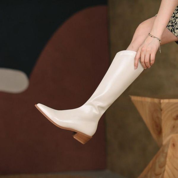 boots classical stylish women beige western pointed toe knee high riding botas femmes side zipper black long bottes mujer brown
boots classical stylish women beige western pointed toe knee high riding botas femmes side zipper black long bottes mujer brown