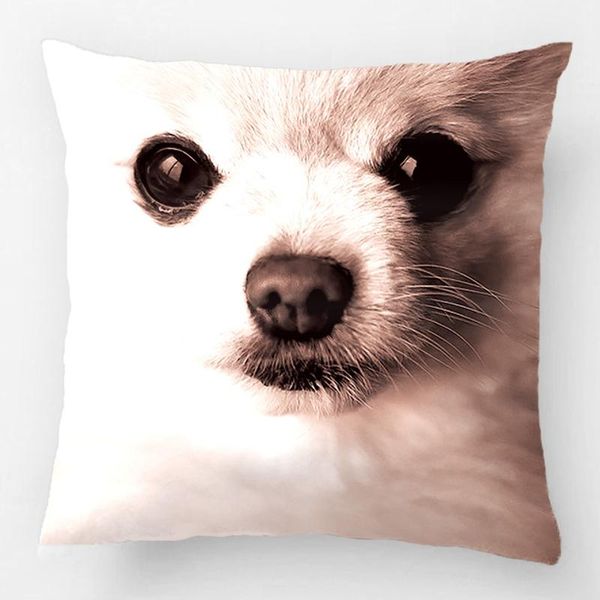 precious pomeranian accent wedding decorative cushion cover pillow case customize gift by lvsure for car sofa seat pillowcase cushion/decora
precious pomeranian accent wedding decorative cushion cover pillow case customize gift by lvsure for car sofa seat pillowcase cushion/decora