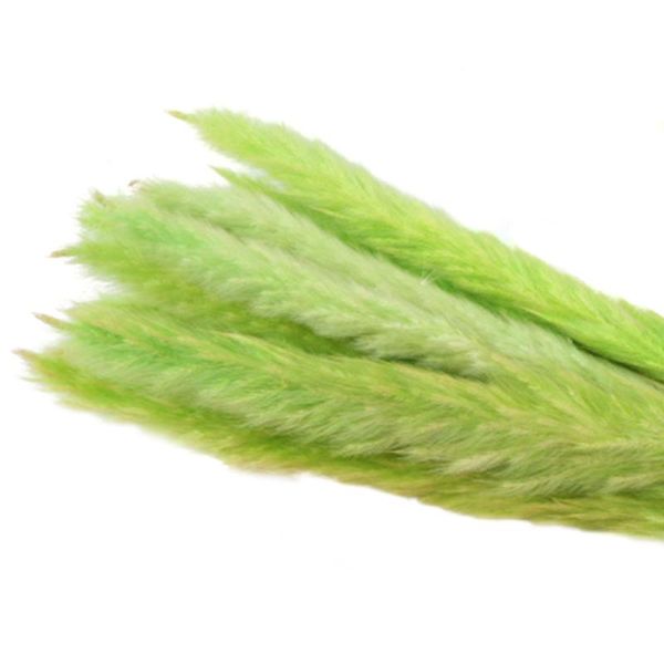 decorative flowers & wreaths 15pcs communis bulrush flavorful reed dried pampas natural phragmites home decor small wedding flower bunch dur
decorative flowers & wreaths 15pcs communis bulrush flavorful reed dried pampas natural phragmites home decor small wedding flower bunch dur