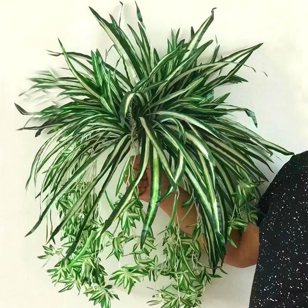 simulation green chlorophytum artificial plant wall orchid rattan hanging fake flower indoor home decor decorative flowers & wreaths
simulation green chlorophytum artificial plant wall orchid rattan hanging fake flower indoor home decor decorative flowers & wreaths