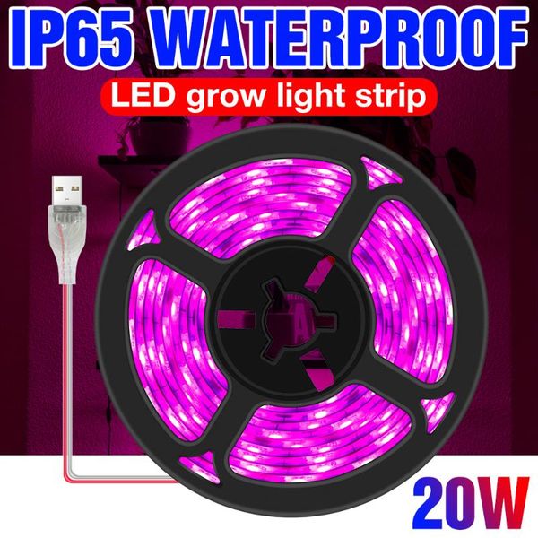 grow lights indoor plant light strip 1m 2m 3m flower seed growth lamp led full spectrum seedling fito usb hydroponics lampada
grow lights indoor plant light strip 1m 2m 3m flower seed growth lamp led full spectrum seedling fito usb hydroponics lampada