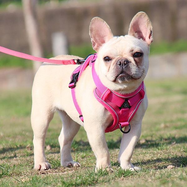 dog collars & leashes 1 pcs pet reflective nylon harness no pull adjustable medium large naughty
dog collars & leashes 1 pcs pet reflective nylon harness no pull adjustable medium large naughty